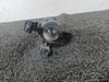 2012 Chevrolet Spark L Left Fog Light