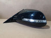 2010 KIA Cadenza K7 Left Black Side Mirror 87610 3R000