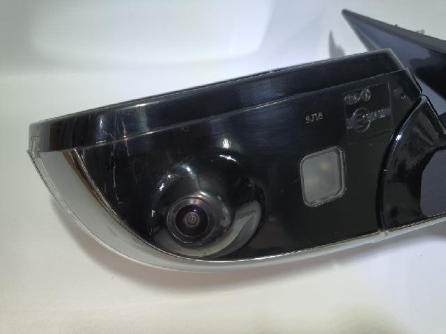 2019 KIA Cadenza K7 Premier Left Black Side Mirror 87610 F6700ABP