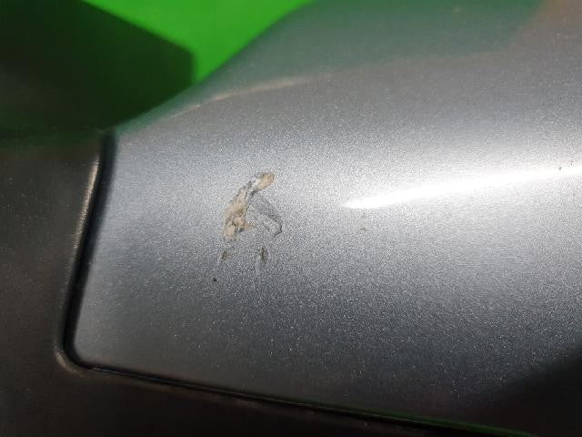 2010 KIA Cedona Grand Carnival Left Blue Side Mirror 87610 4D970K9